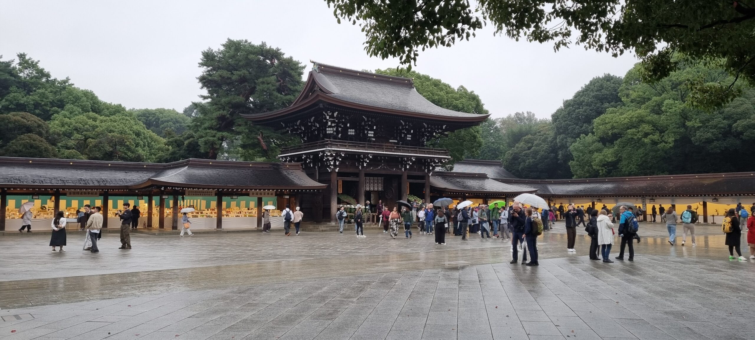 Japán – Meiji Jingu szentély