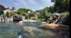 vienna_schönbrunn_zoo_05_002